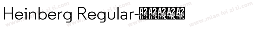 Heinberg Regular字体转换